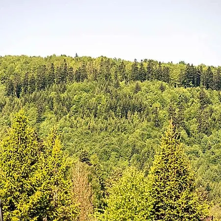 Korbielow 6